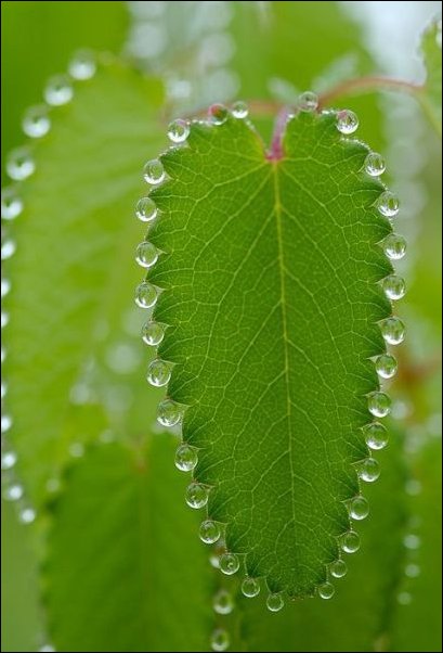 Подборка фотографий