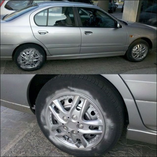 Подборка фотографий