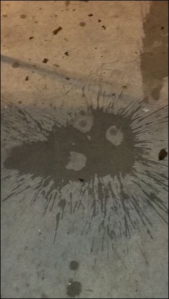 Подборка фотографий