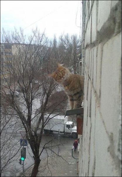 Подборка фотографий