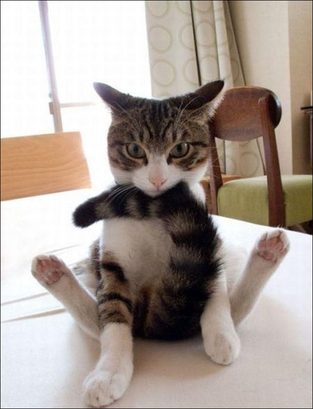 Подборка фотографий