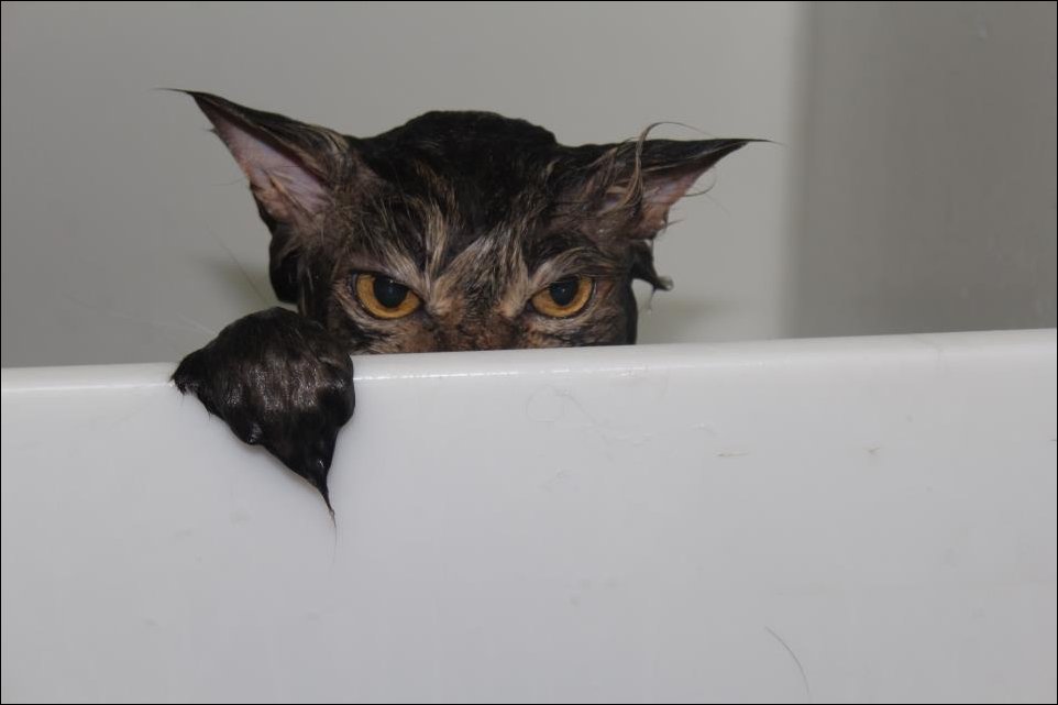 Подборка фотографий