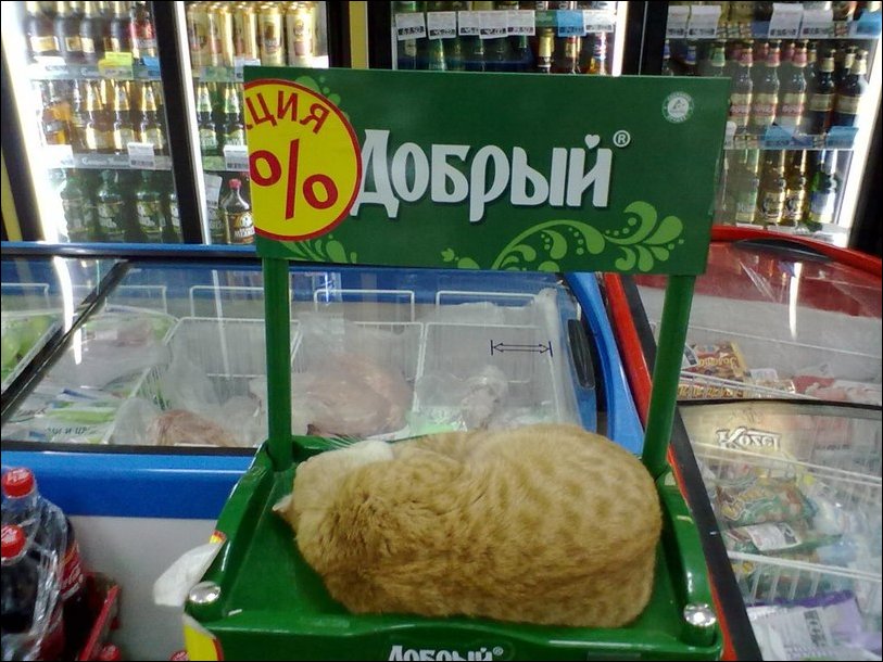 Подборка фотографий