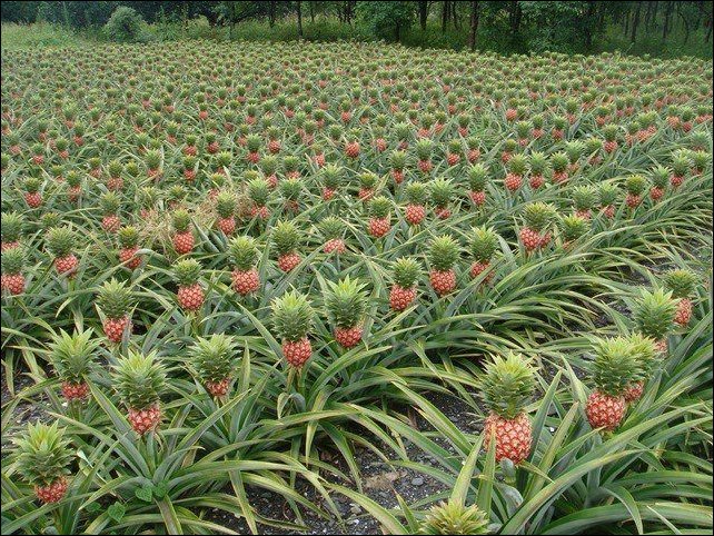 Подборка фотографий