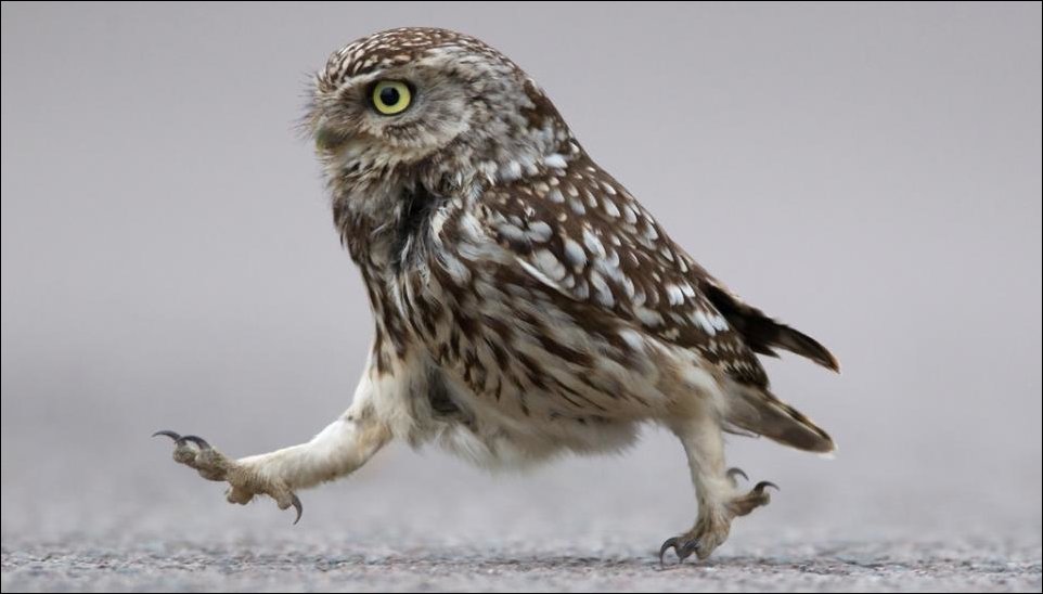 Подборка фотографий