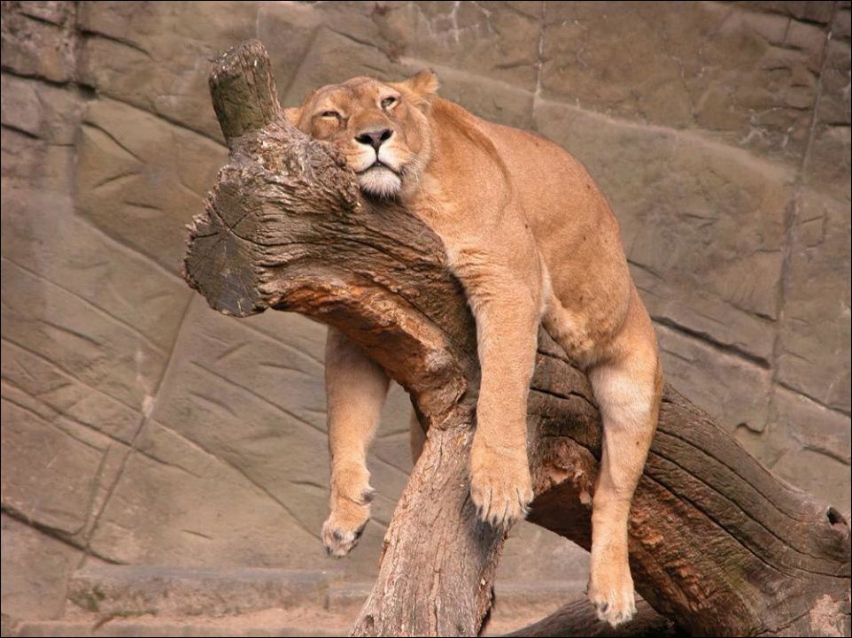 Подборка фотографий