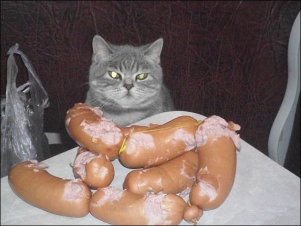 Подборка фотографий