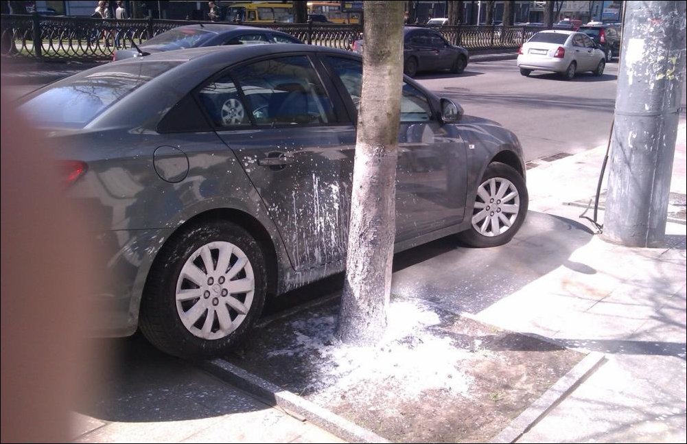 Подборка фотографий