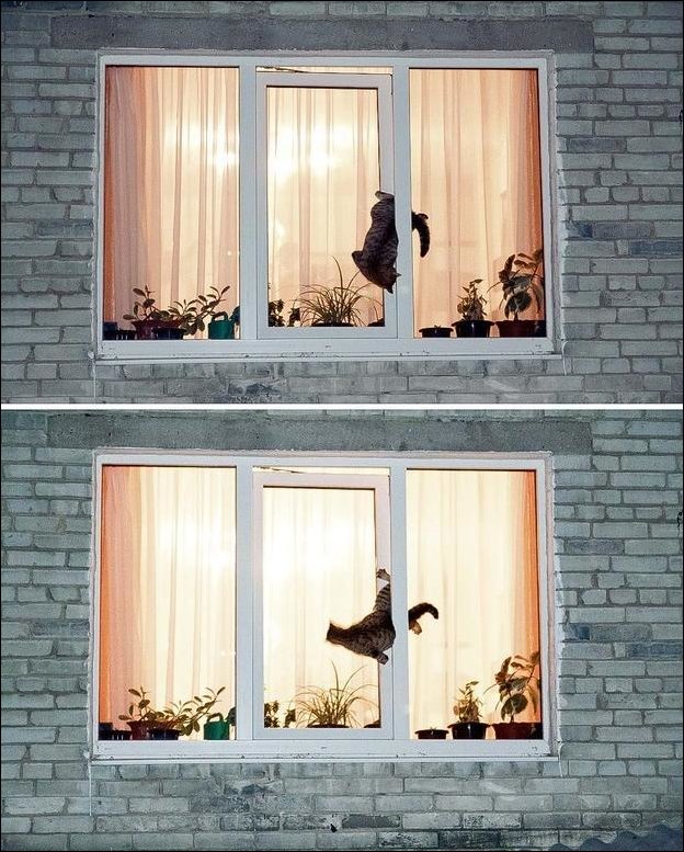 Подборка фотографий