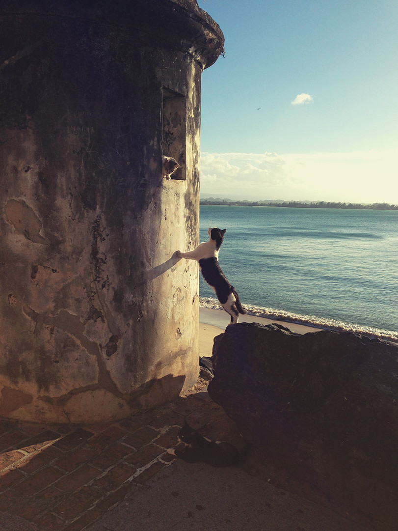 Подборка фотографий