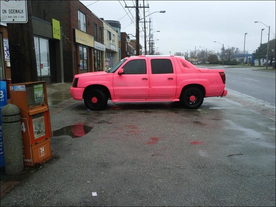 Подборка фотографий