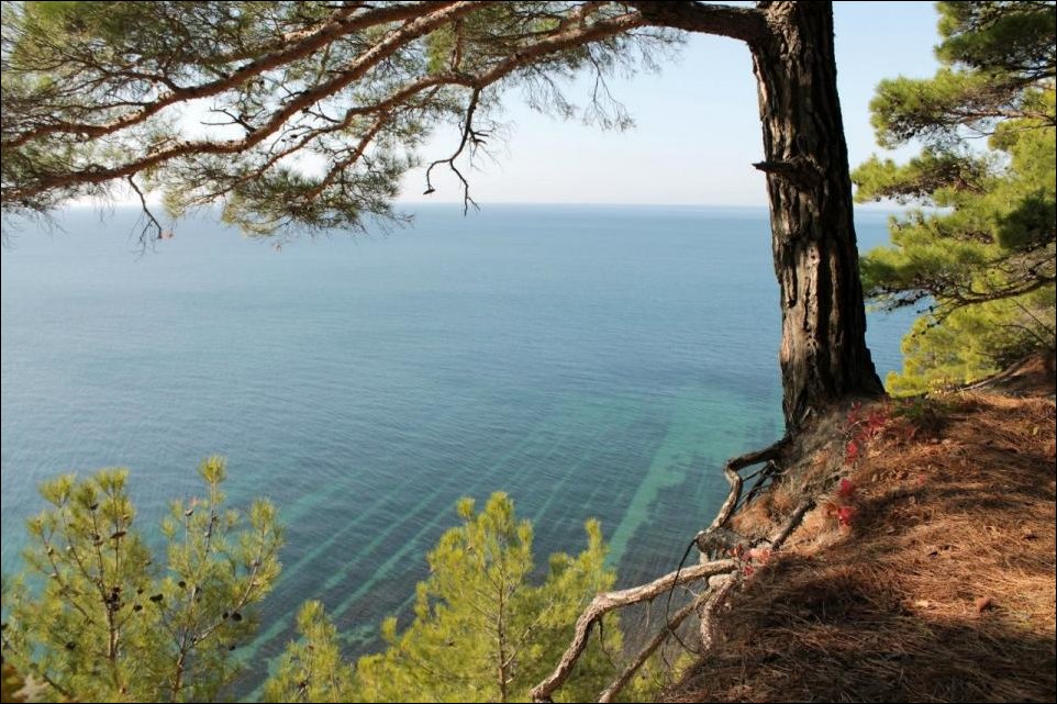 Подборка фотографий