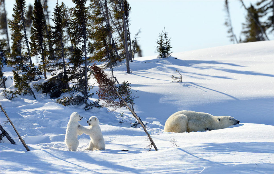 Подборка фотографий