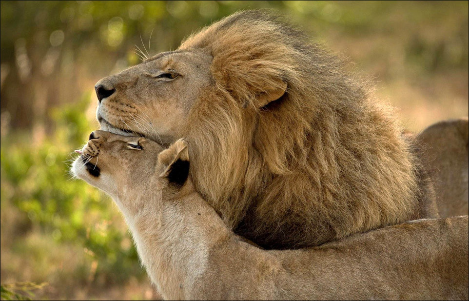 Подборка фотографий