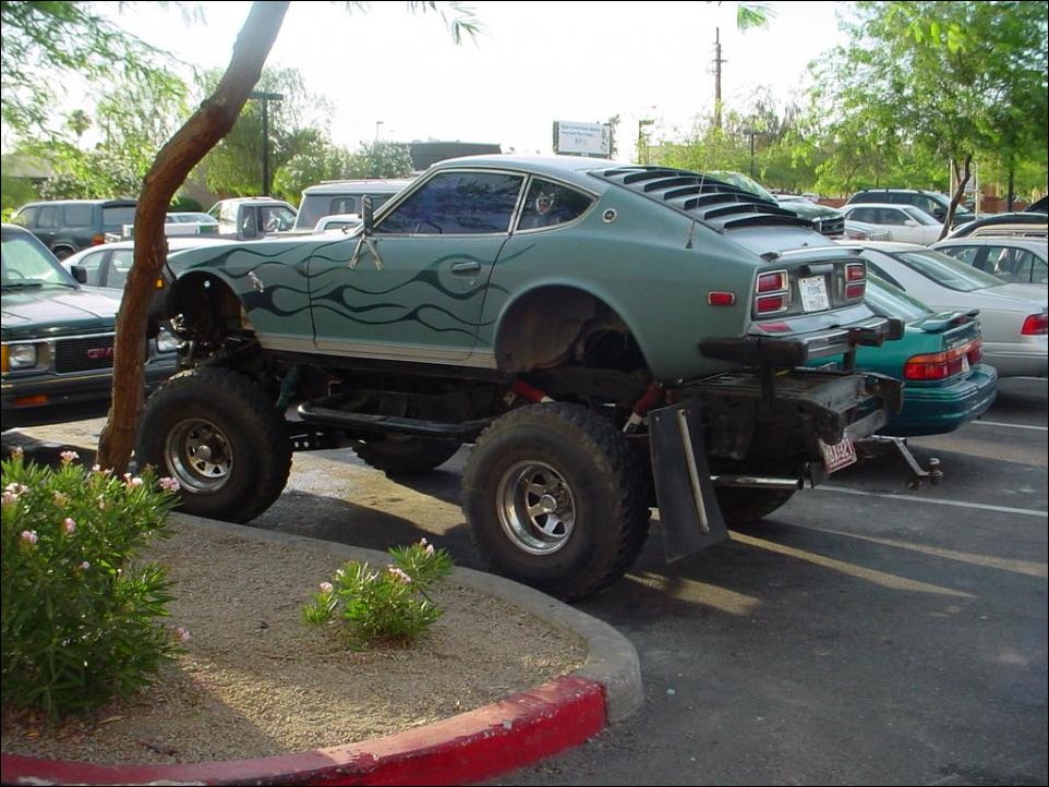 Подборка фотографий