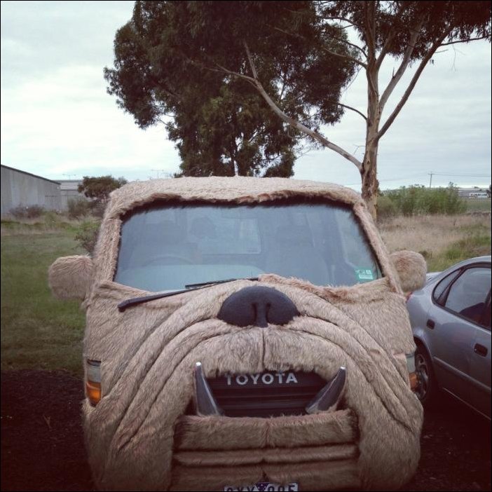 Подборка фотографий