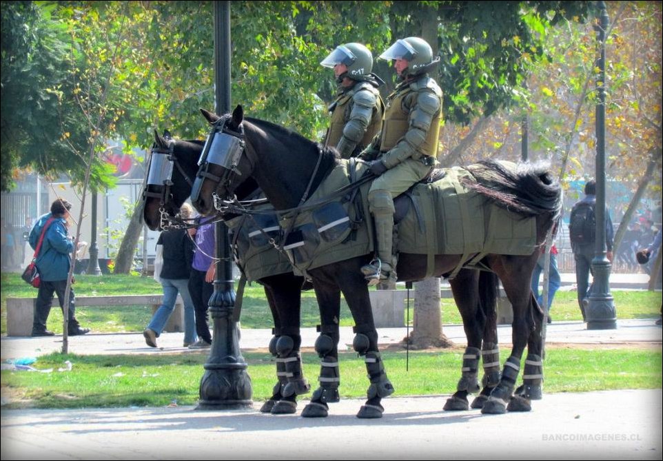 Подборка фотографий