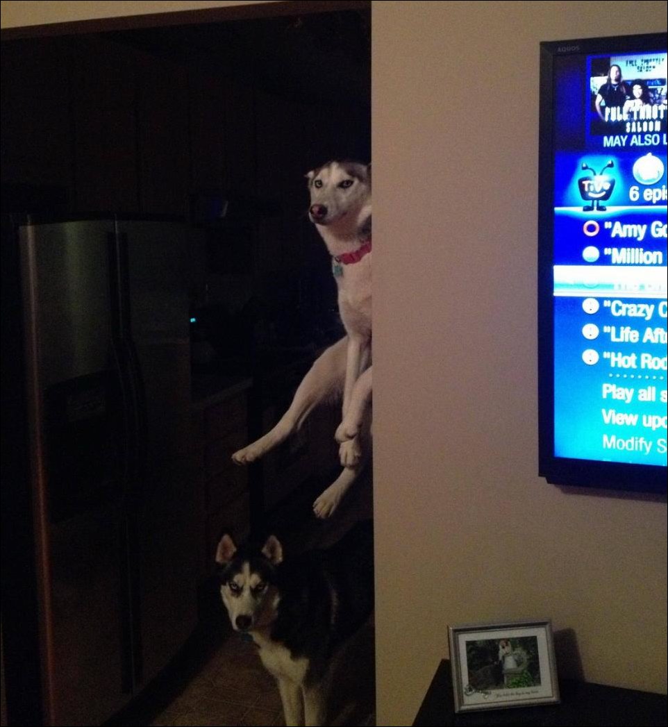 Подборка фотографий