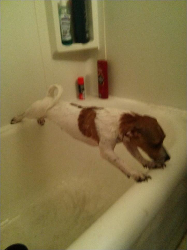 Подборка фотографий