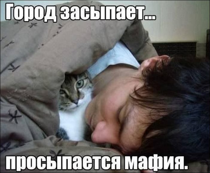 Подборка фотографий