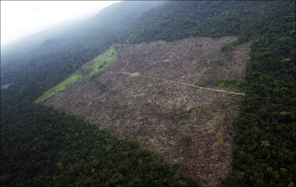 Подборка фотографий