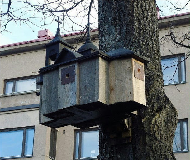 Подборка фотографий