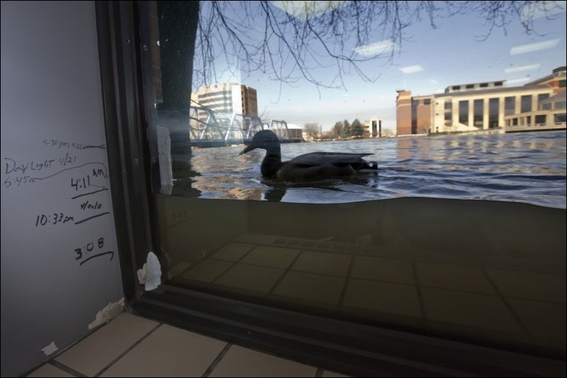 Подборка фотографий