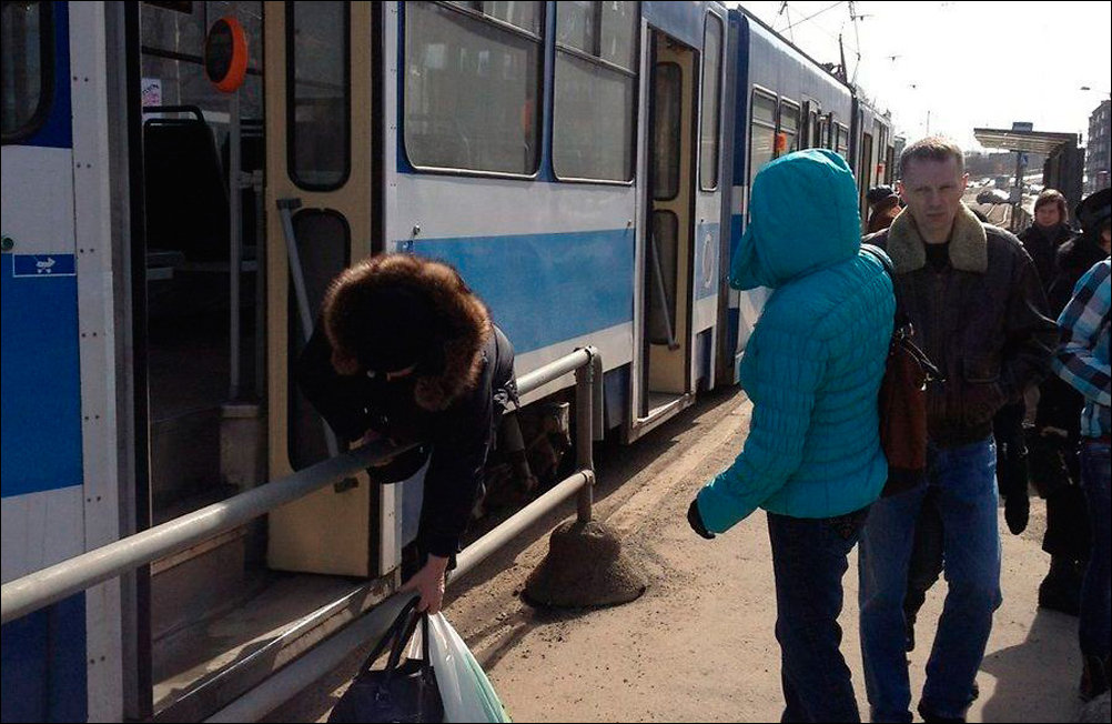 Подборка фотографий