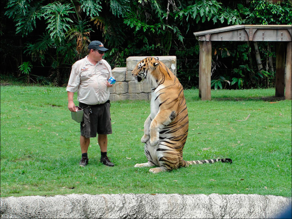 Подборка фотографий