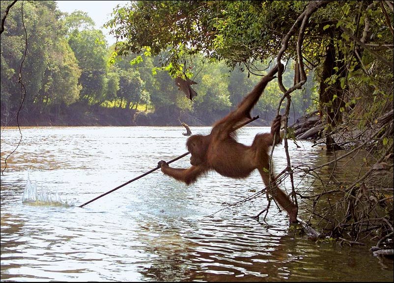 Подборка фотографий