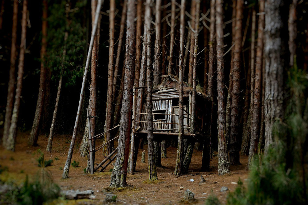 Подборка фотографий