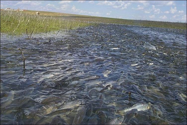 Подборка фотографий