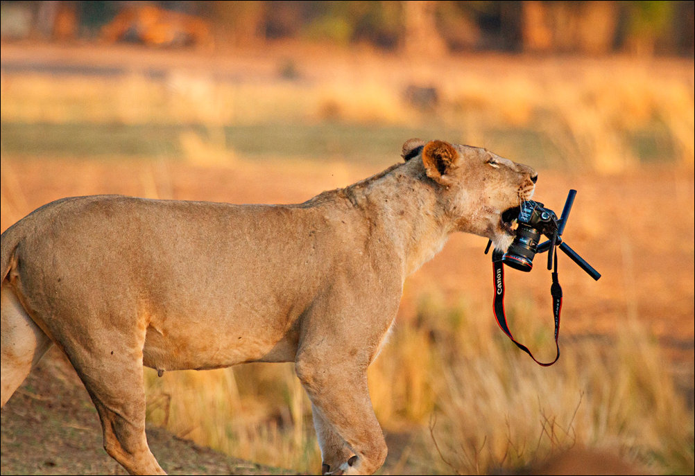 Подборка фотографий