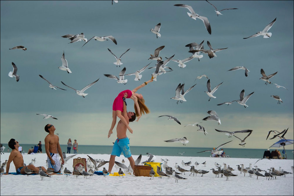 Подборка фотографий