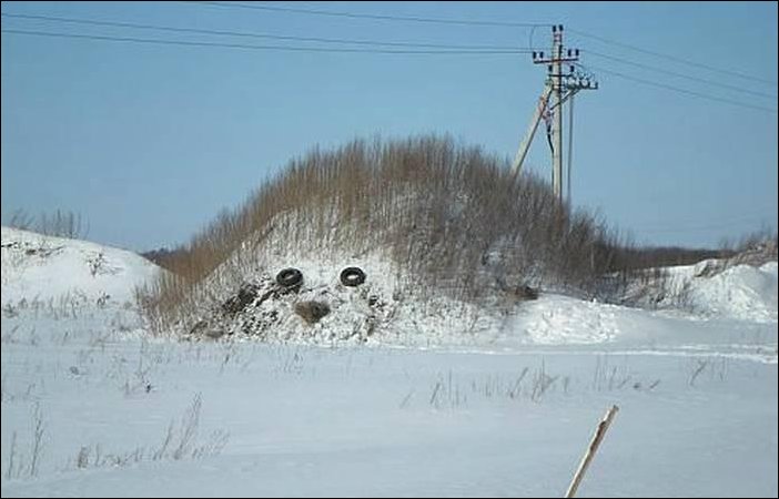 Подборка фотографий