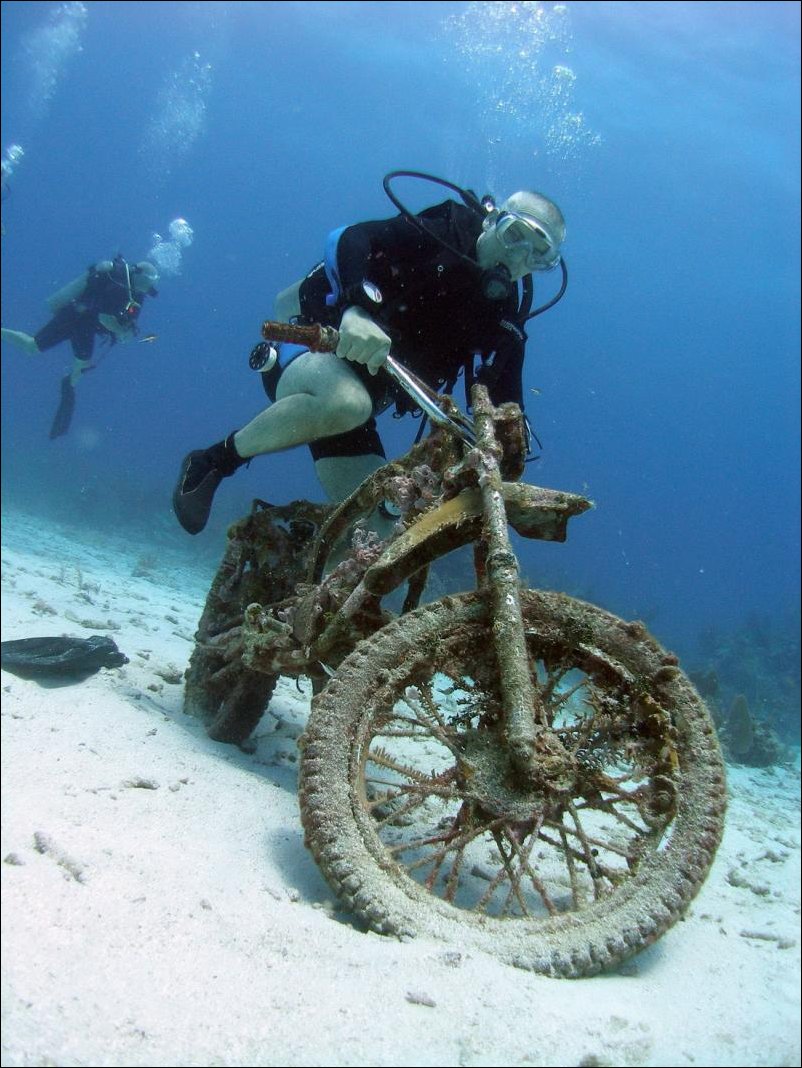 Подборка фотографий