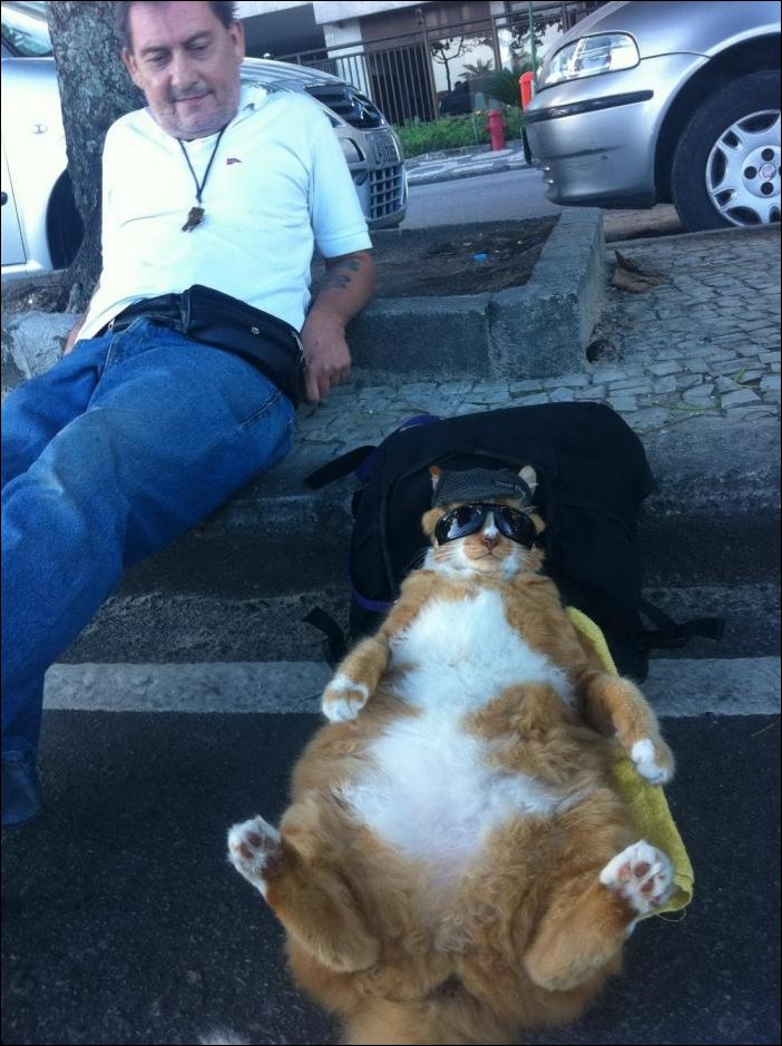 Подборка фотографий