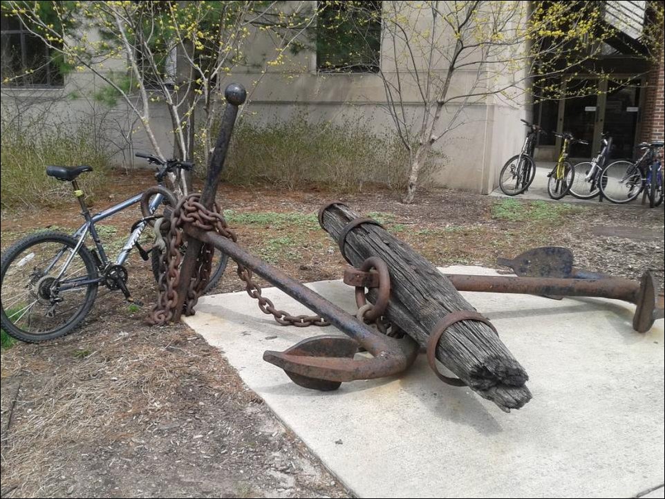 Подборка фотографий