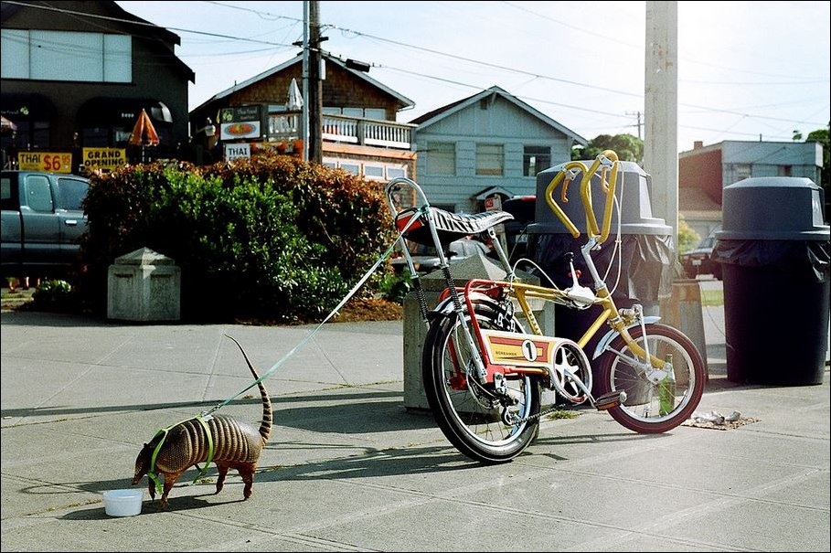 Подборка фотографий