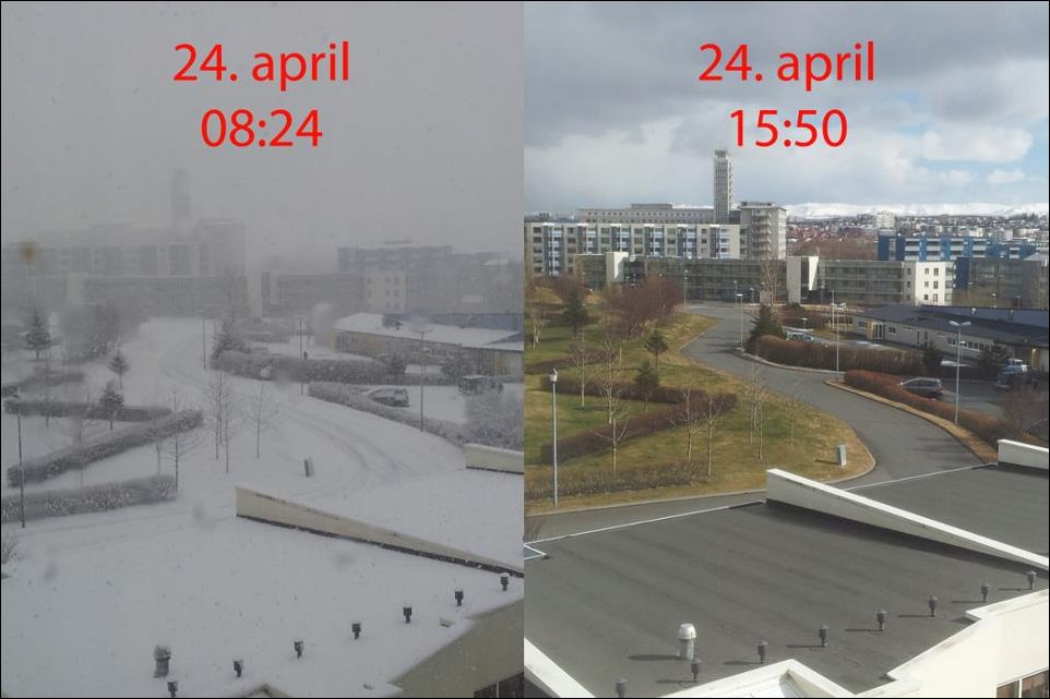 Подборка фотографий