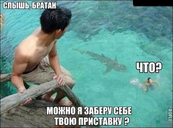 Подборка фотографий