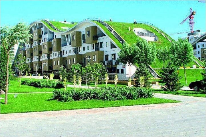 Подборка фотографий