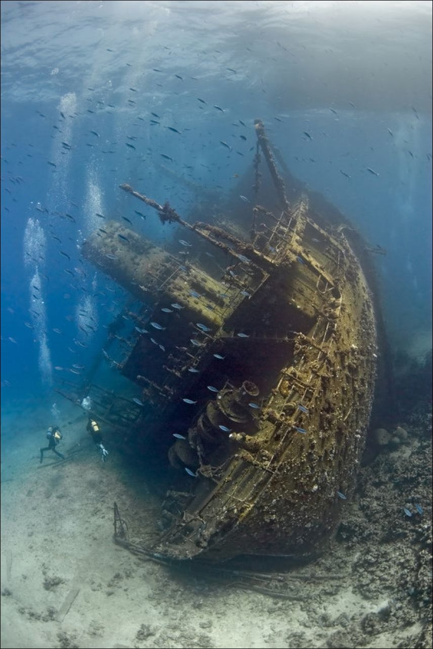 Подборка фотографий