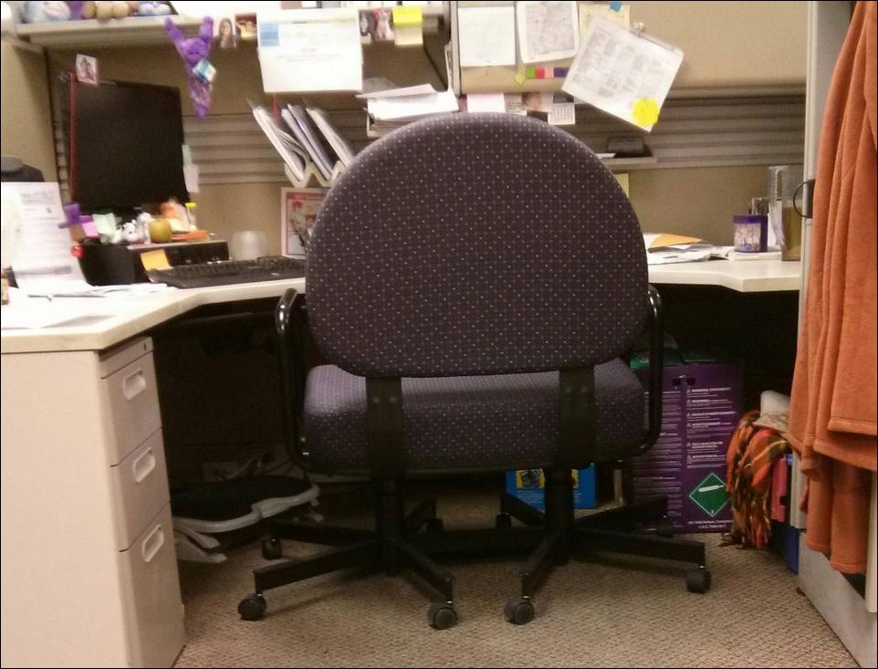 Подборка фотографий