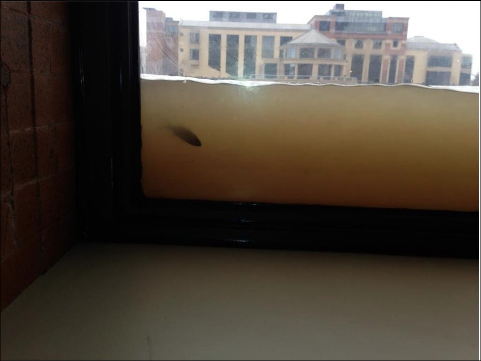 Подборка фотографий