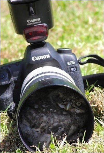 Подборка фотографий