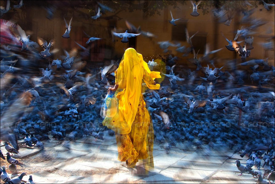 Подборка фотографий