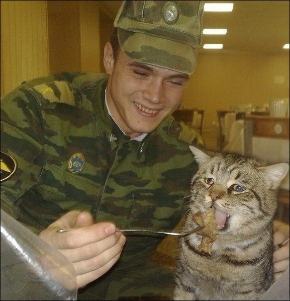 Подборка фотографий