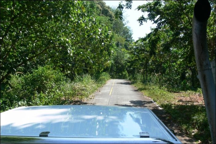 Проблема на дороге