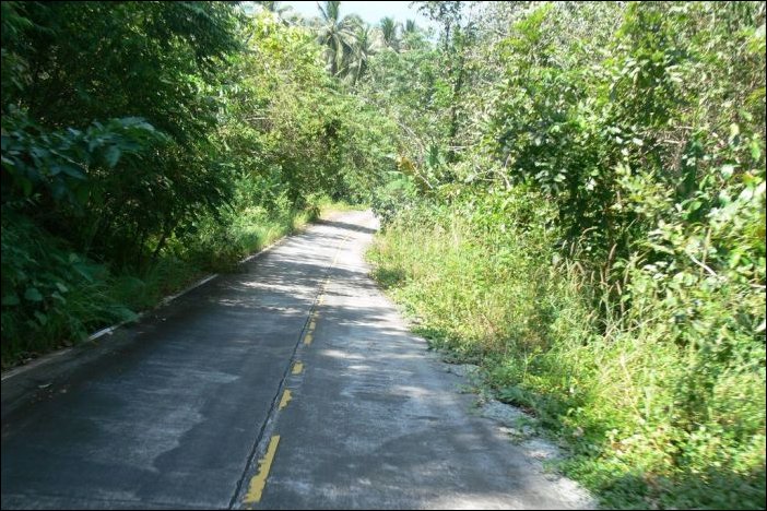 Проблема на дороге